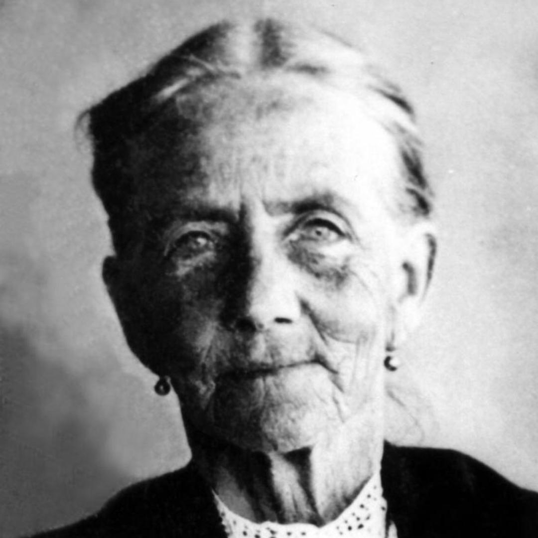 Dorothy Howarth (1849 - 1920) Profile